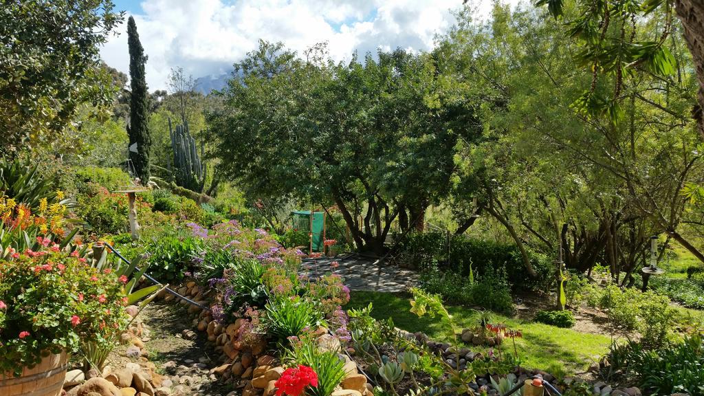 African Tulip Guesthouse Tulbagh Exterior foto